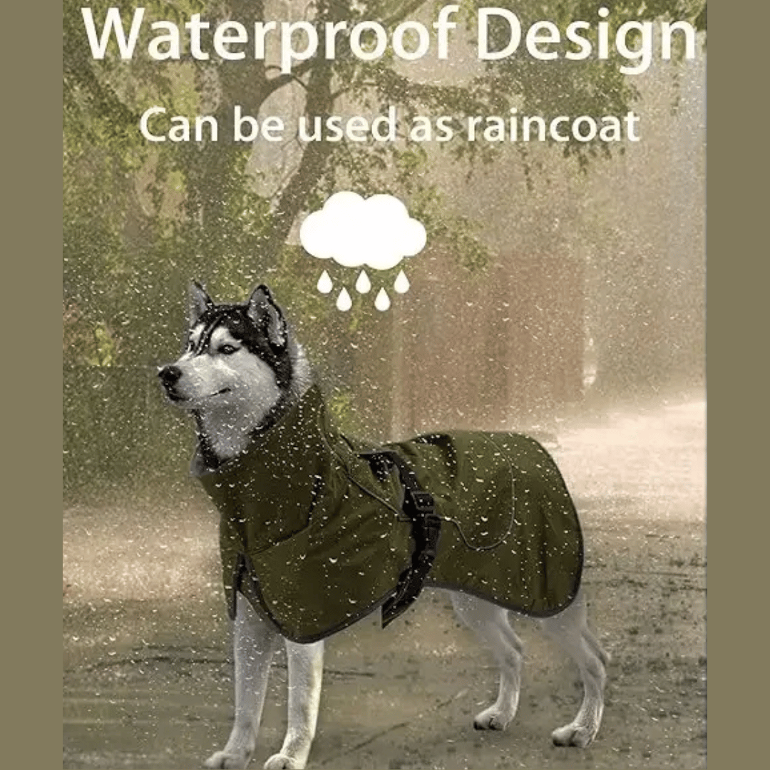 Insulated Dog Winter Coat