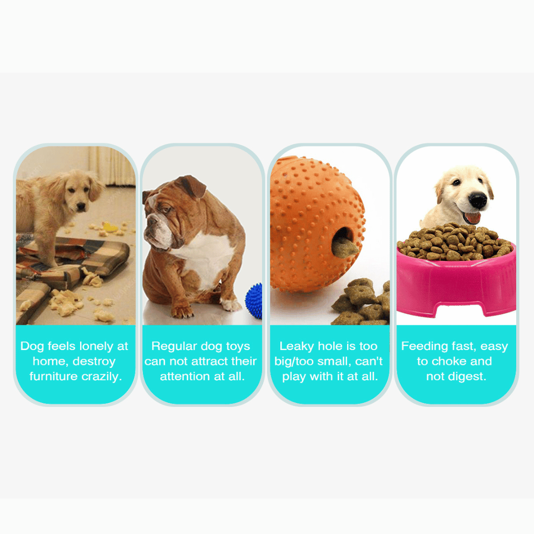 Interactive Dog Toy Slow Feeder Puzzle