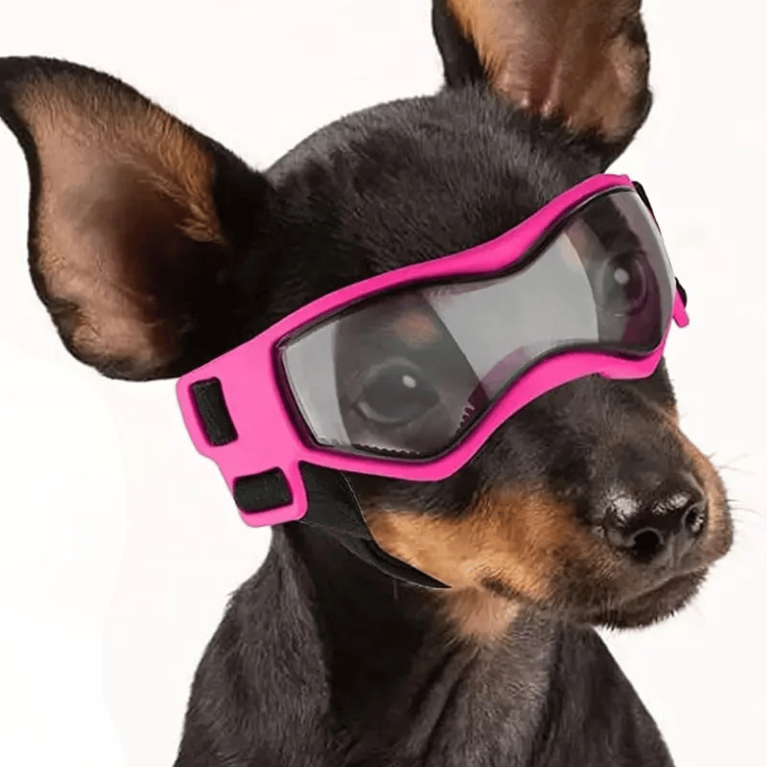 Dog Sunglasses Small Breed Eye Protection