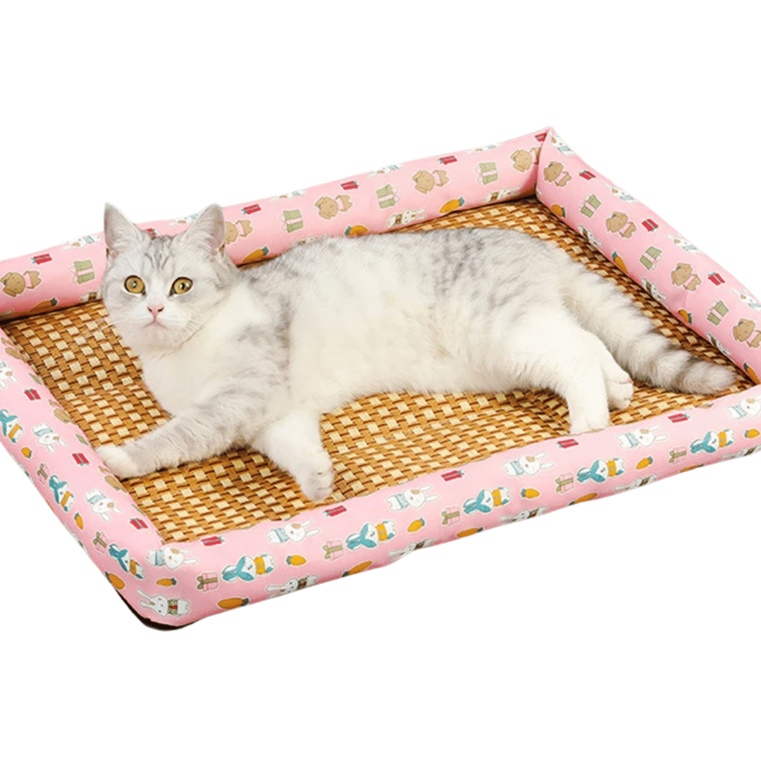 Wicker Pet Bed for Dogs and Cats Comfortable