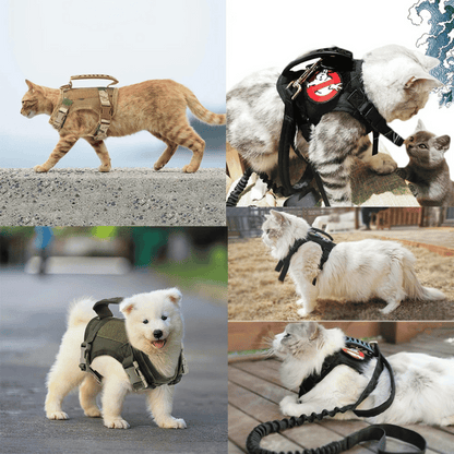 Durable Cat Vest And Leash Set