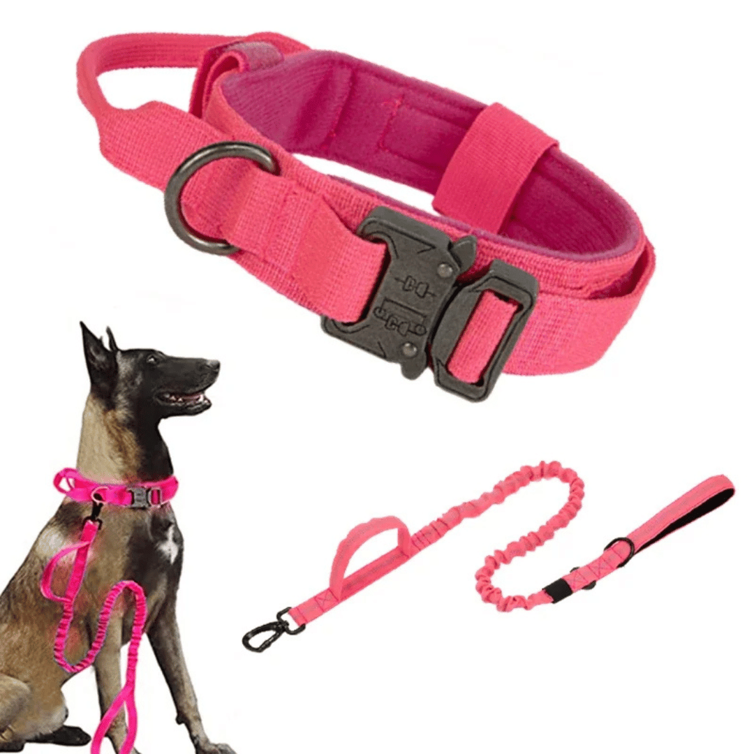 Tactical Dog Collar And Leash Set For Large Dogs