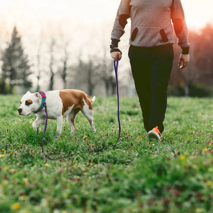 Heavy Duty Dog Leash Padded Handle