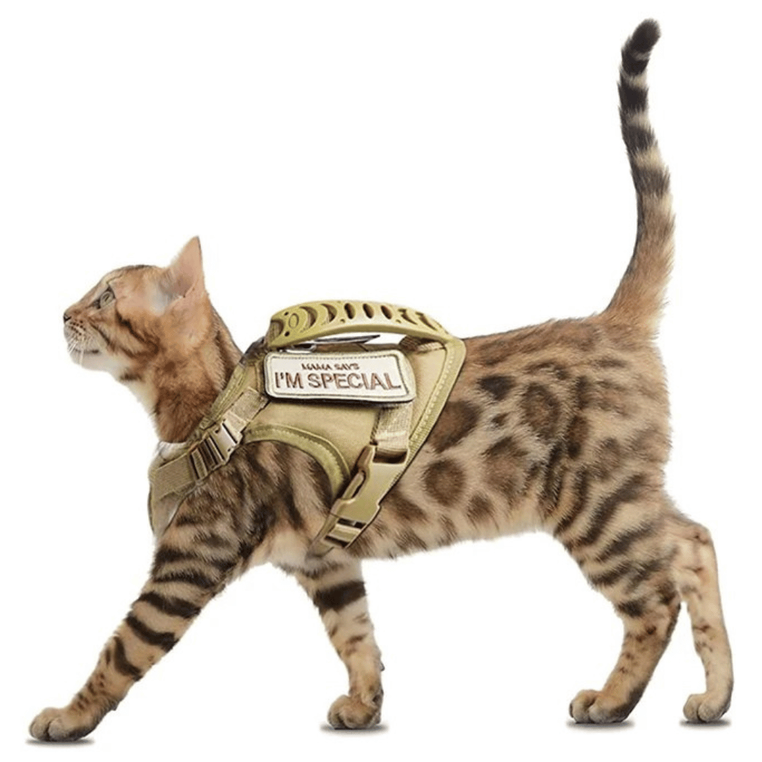 Durable Cat Vest And Leash Set