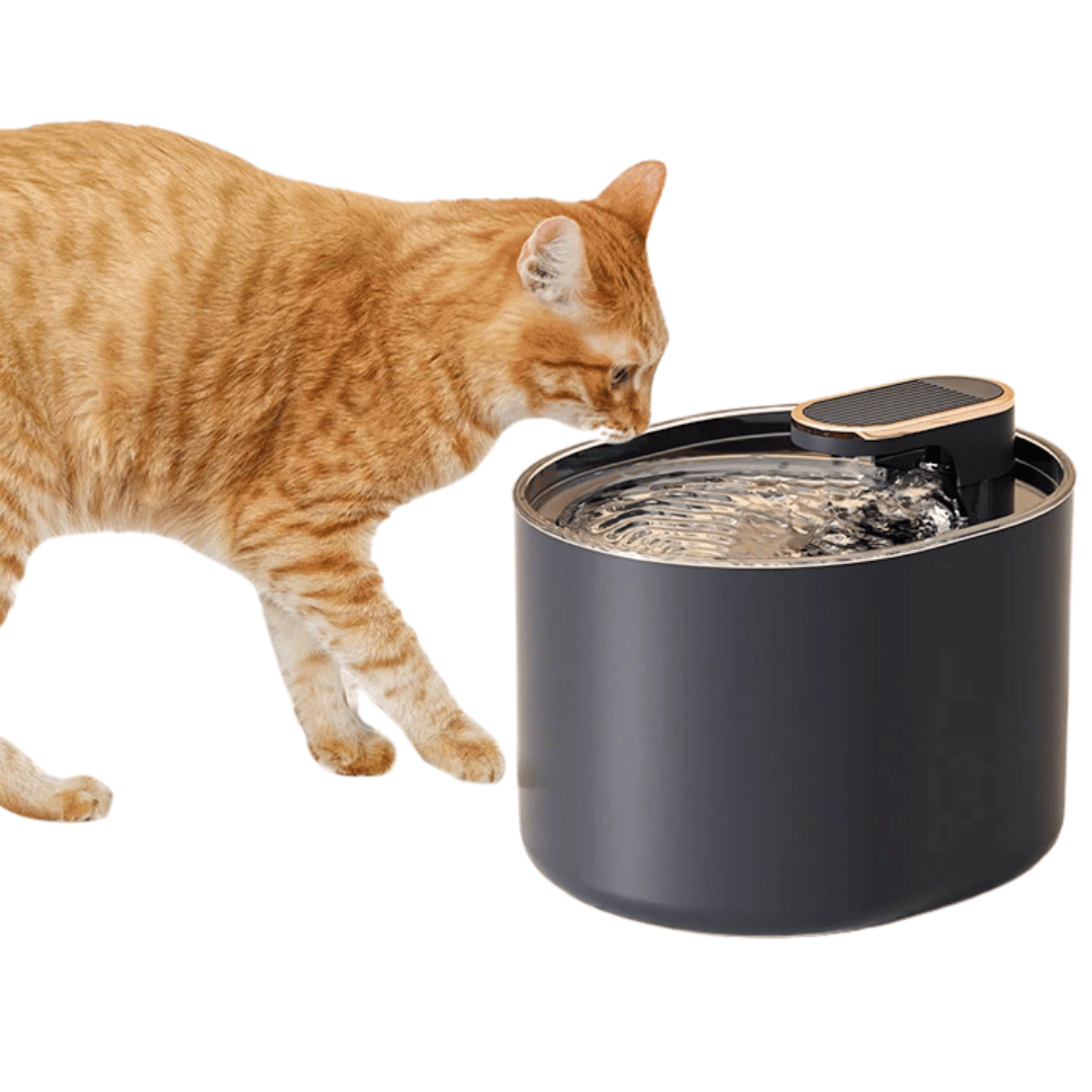 Pet Water Fountain Motion Sensor Night Light - Pupporia
