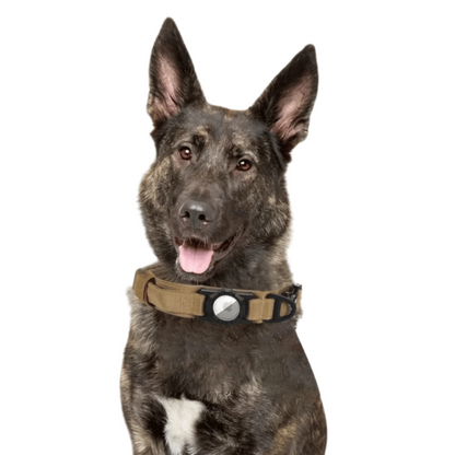 Tactical Dog Collar AirTag Holder Durable Nylon