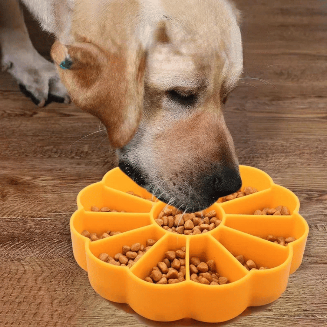 Interactive Dog Food Bowl Non Slip Base