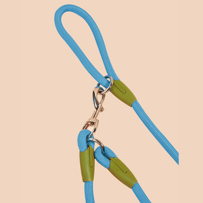 Durable Padded Dog Leash For Large Breeds