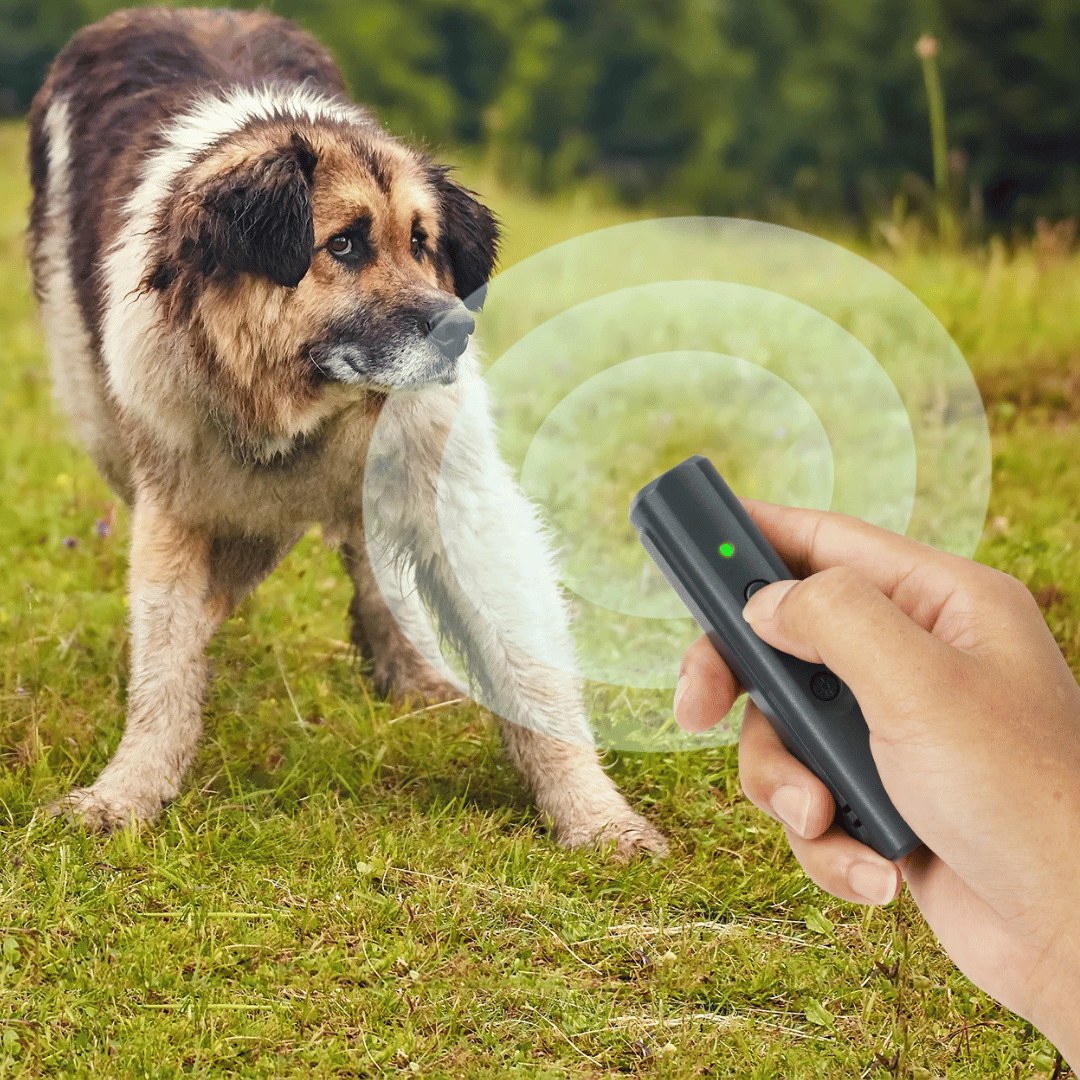Anti Bark Device With Led Light And Sound