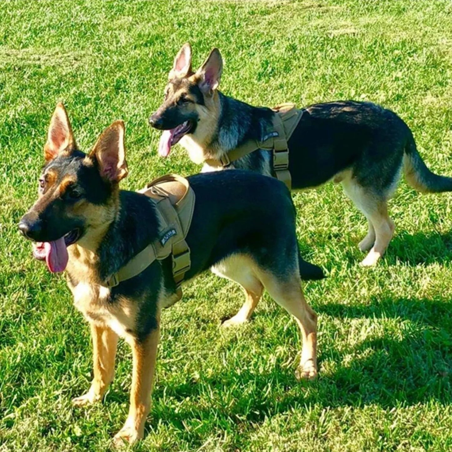 Large Dog Harness Padded Vest Comfortable