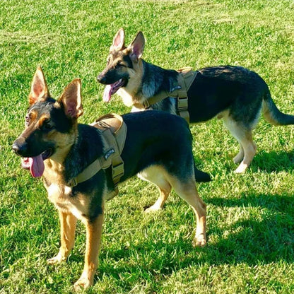 Large Dog Harness Padded Vest Comfortable