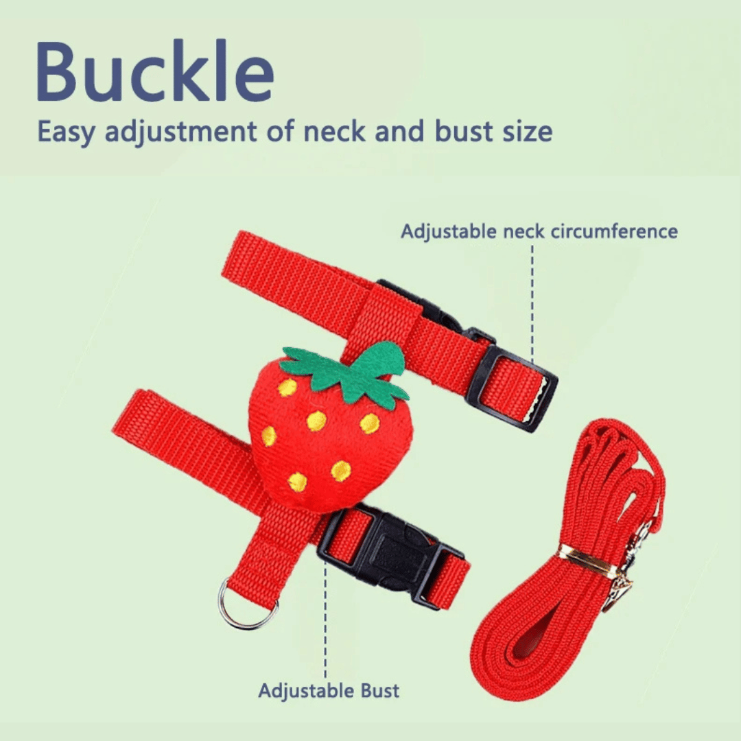 Bunny Harness Leash Set Comfortable