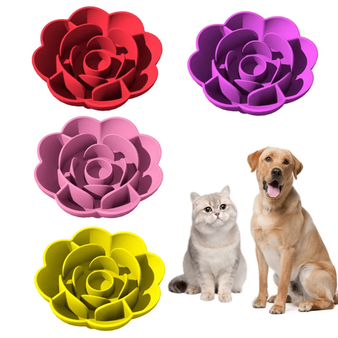 Fun Feeder Non Slip Dog Bowl Healthy Eating