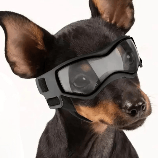 Dog Sunglasses Small Breed Eye Protection - Pupporia