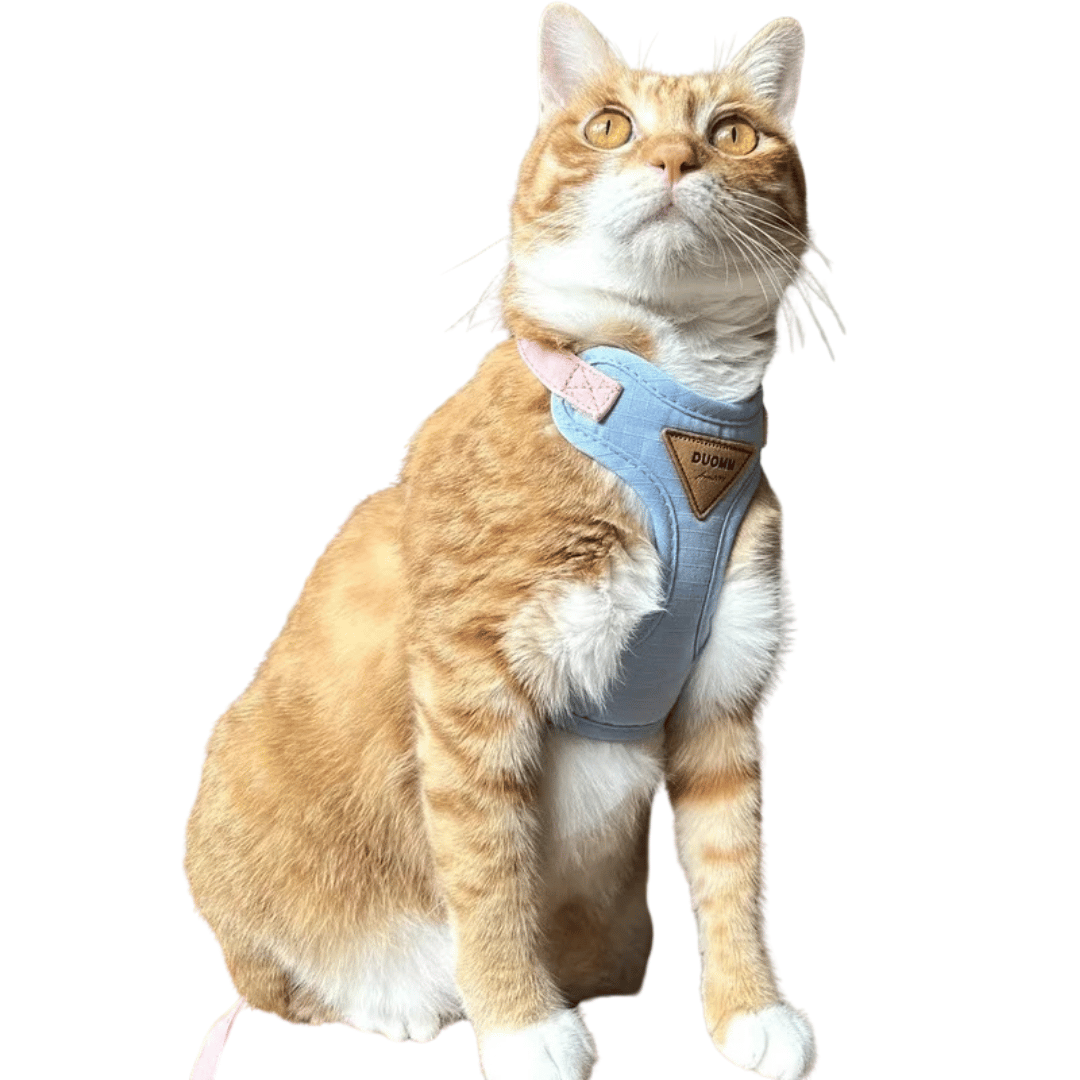 Purrfect Cat Harness And Leash Set