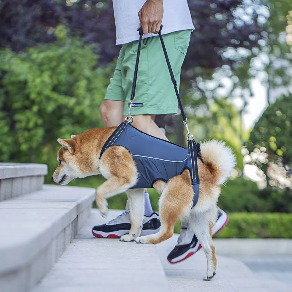 Support Harness For Senior Dogs Comfortable