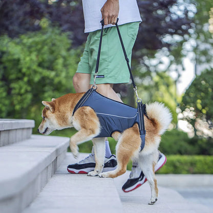 Support Harness For Senior Dogs Comfortable