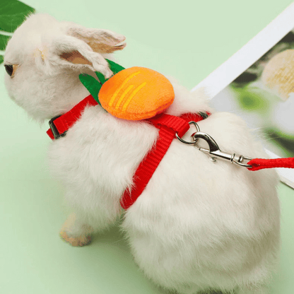 Bunny Harness Leash Set Comfortable
