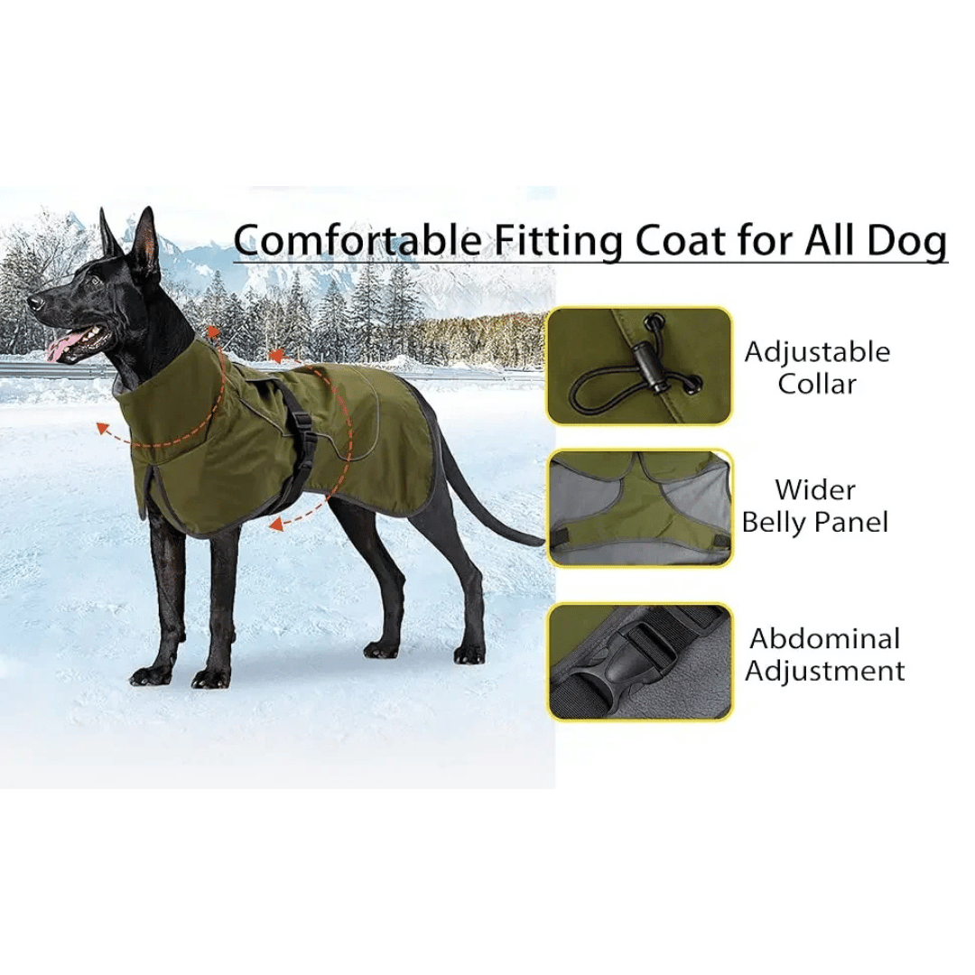 Insulated Dog Winter Coat