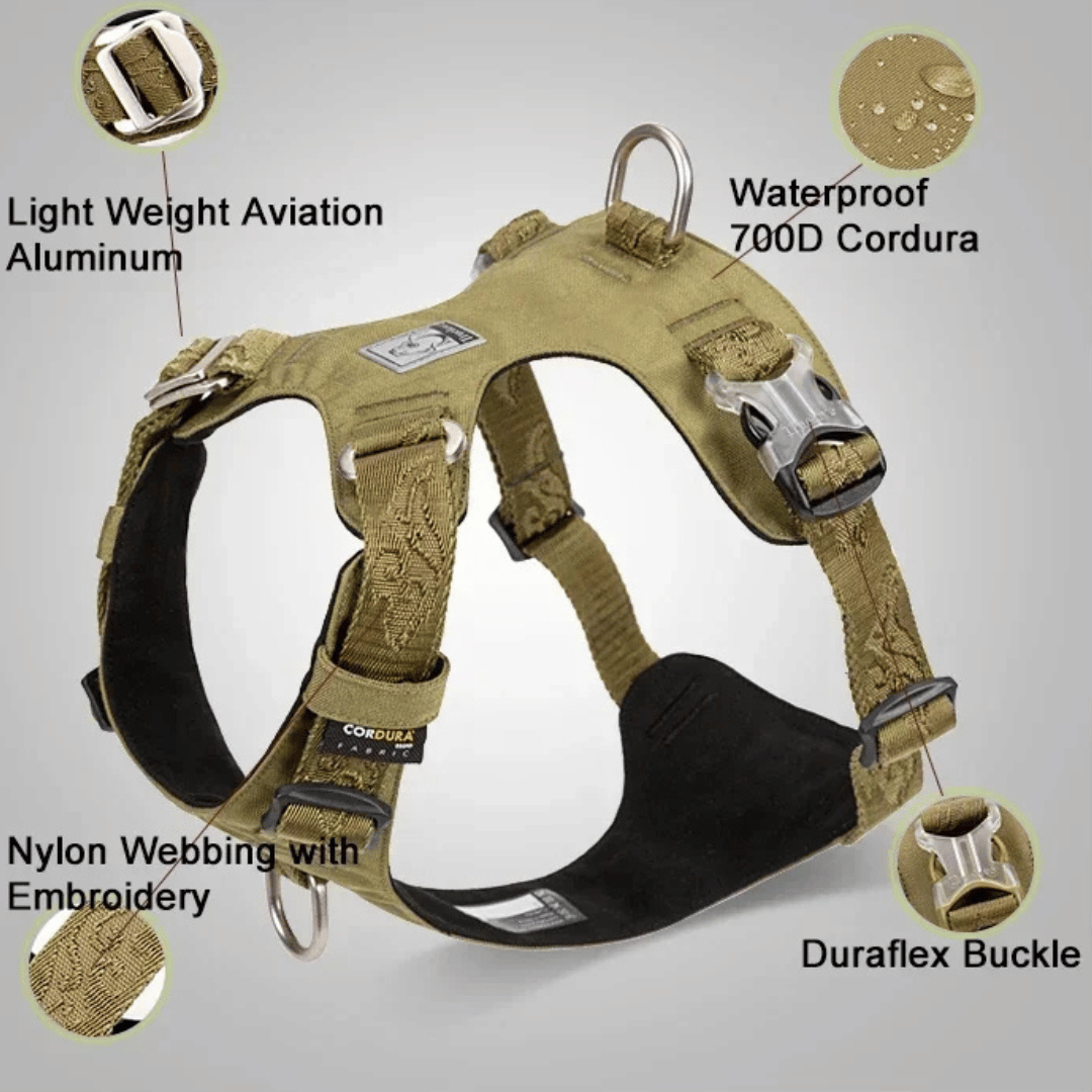 Adjustable Breathable Dog Vest