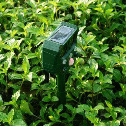 Motion Activated Animal Repellent Device Outdoor