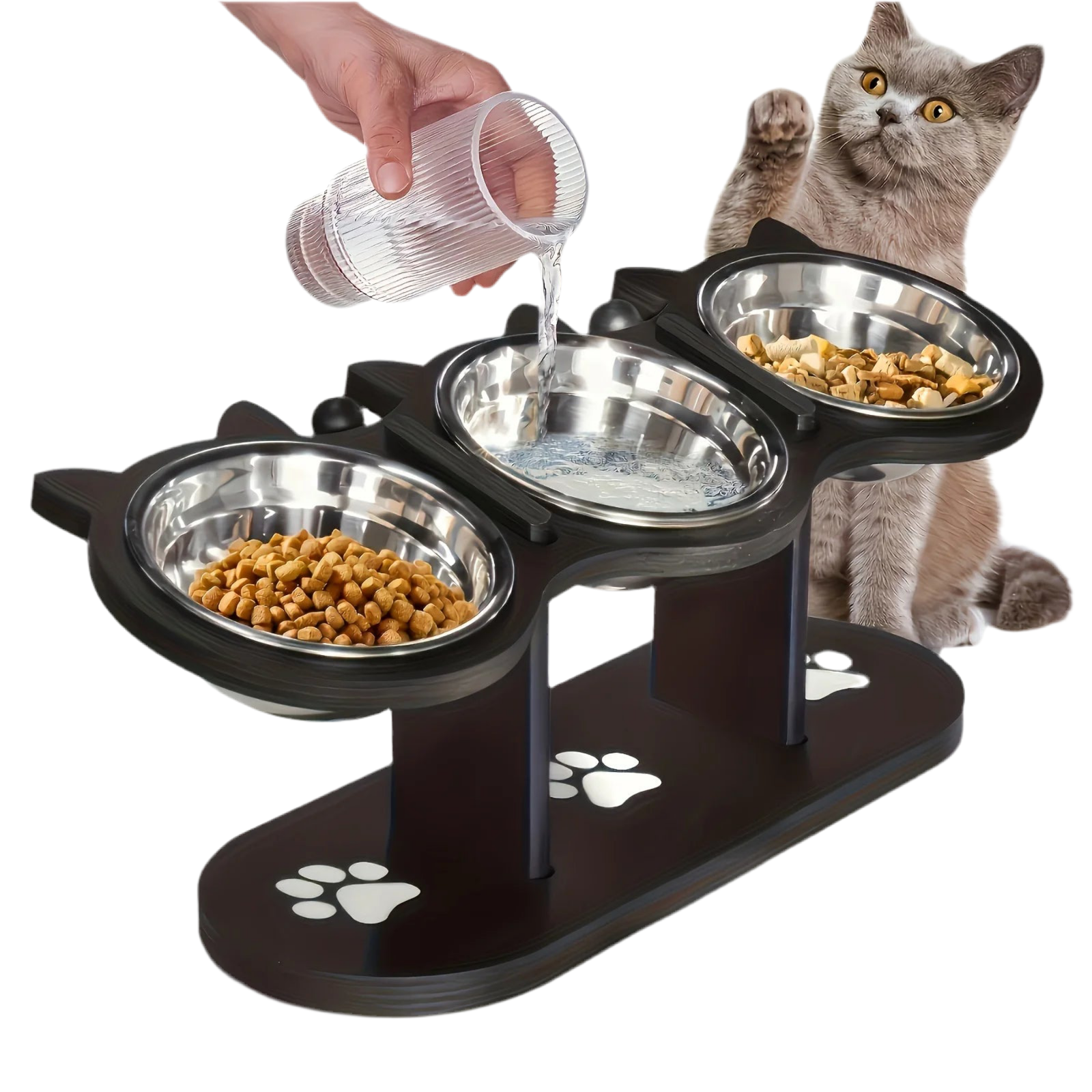 Adjustable Pet Food Bowl 15° Tilted - Pupporia