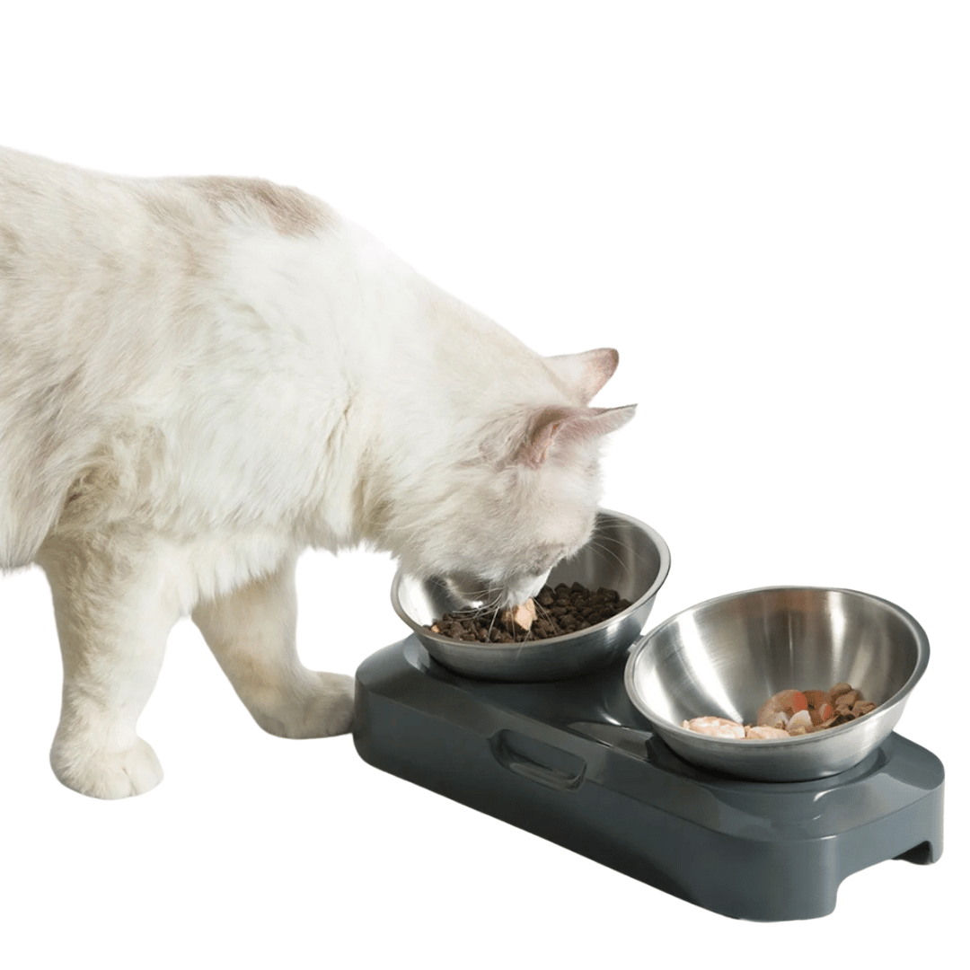 Adjustable Pet Feeder Stainless Steel Food Bowls