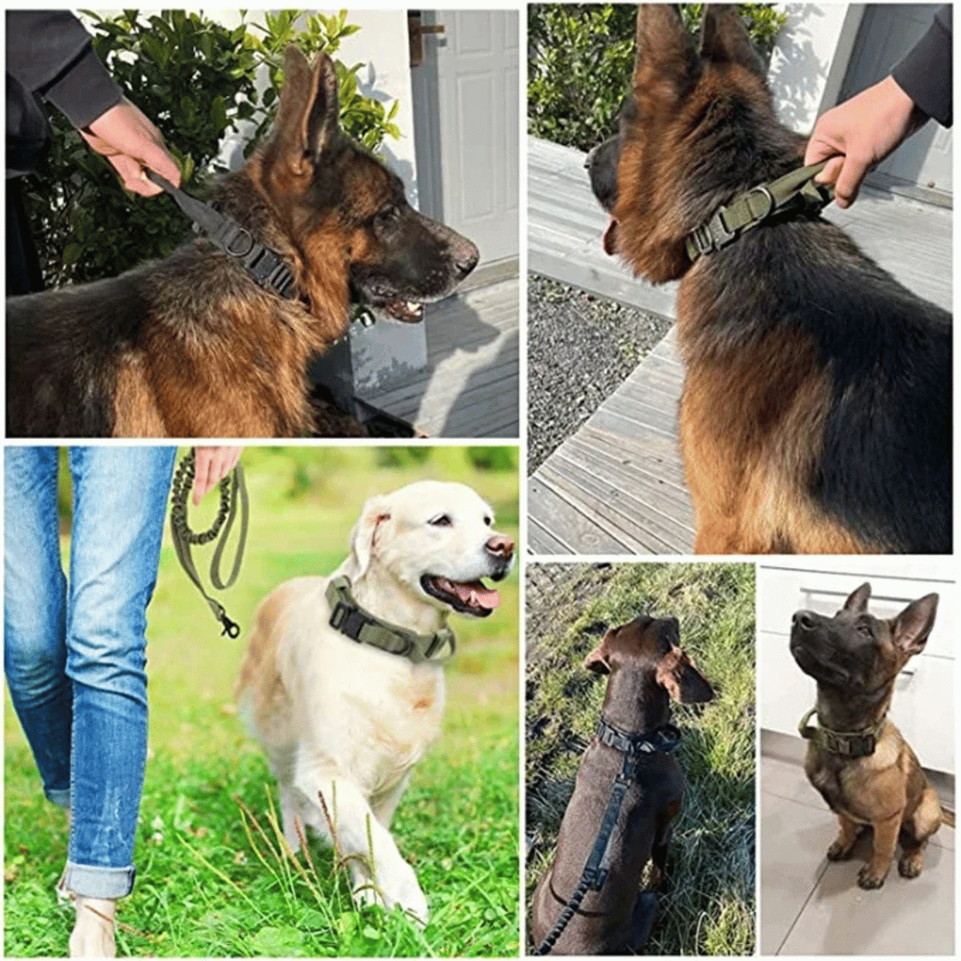 Tactical Dog Collar And Leash Set For Large Dogs