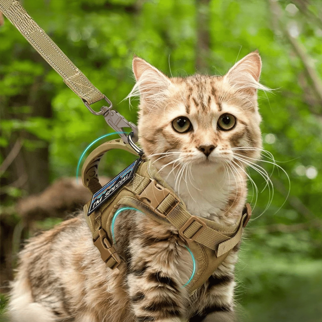 Durable Cat Vest And Leash Set