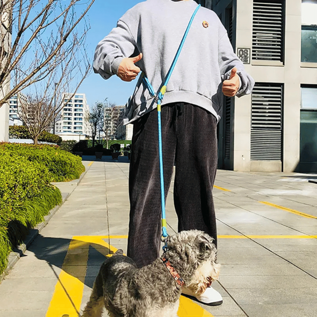 Durable Padded Dog Leash For Large Breeds