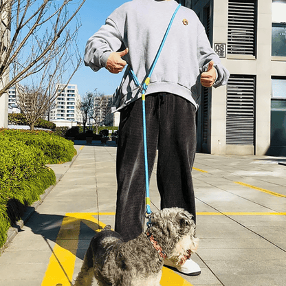Durable Padded Dog Leash For Large Breeds