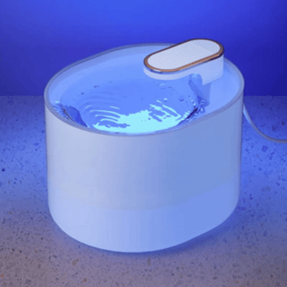 Pet Water Fountain Motion Sensor Night Light