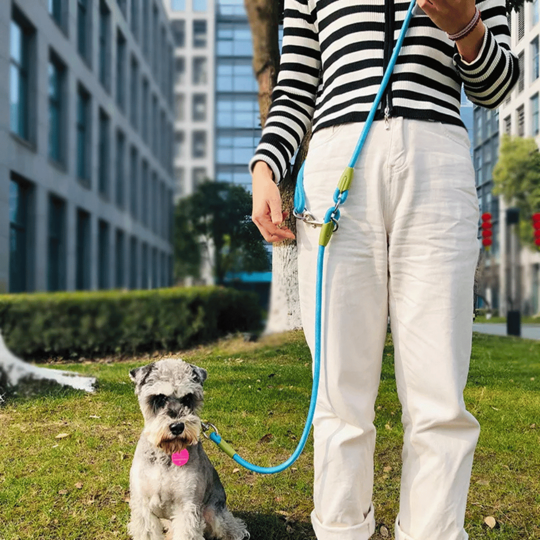 Durable Padded Dog Leash For Large Breeds