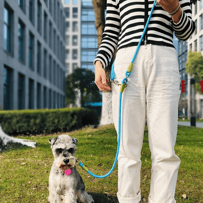 Durable Padded Dog Leash For Large Breeds