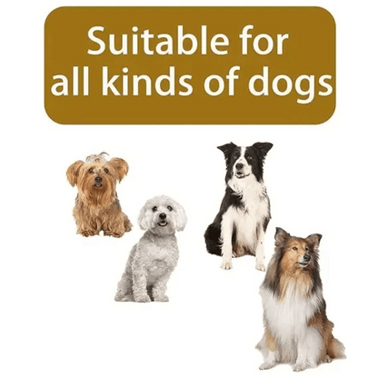 Insulated Dog Winter Coat