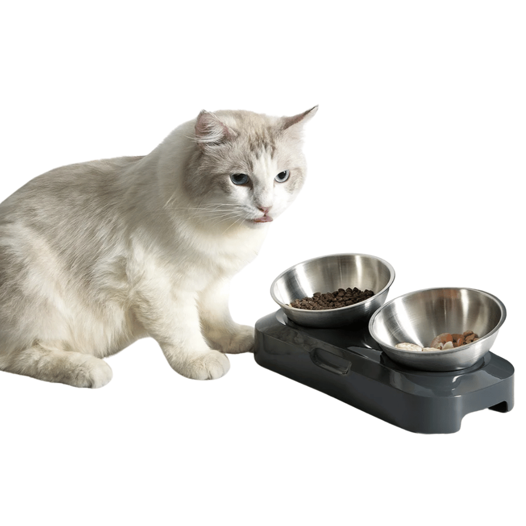 Adjustable Pet Feeder Stainless Steel Food Bowls