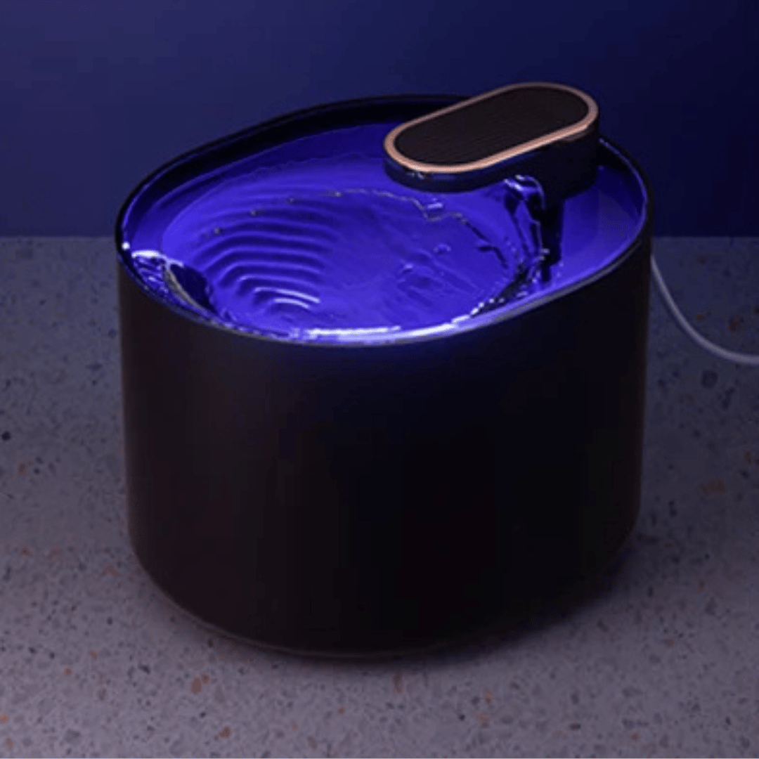 Pet Water Fountain Motion Sensor Night Light