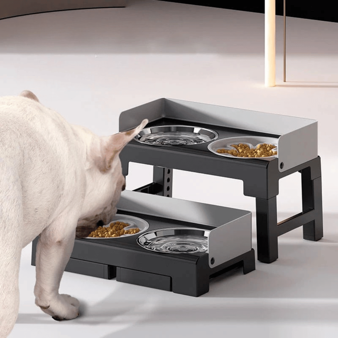 Stainless Steel Elevated Pet Feeder Slow Feed Bowl