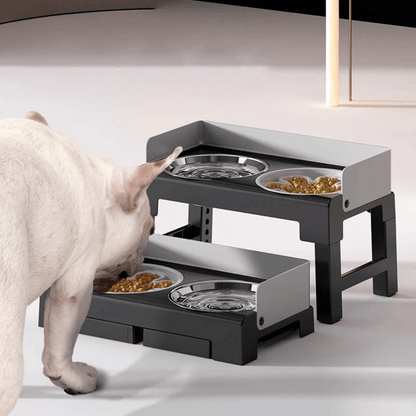 Stainless Steel Elevated Pet Feeder Slow Feed Bowl