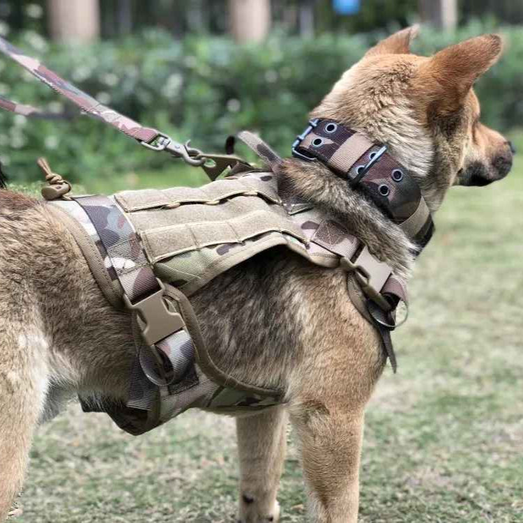 Tough Dog Training Vest Set with Leash and Pouch