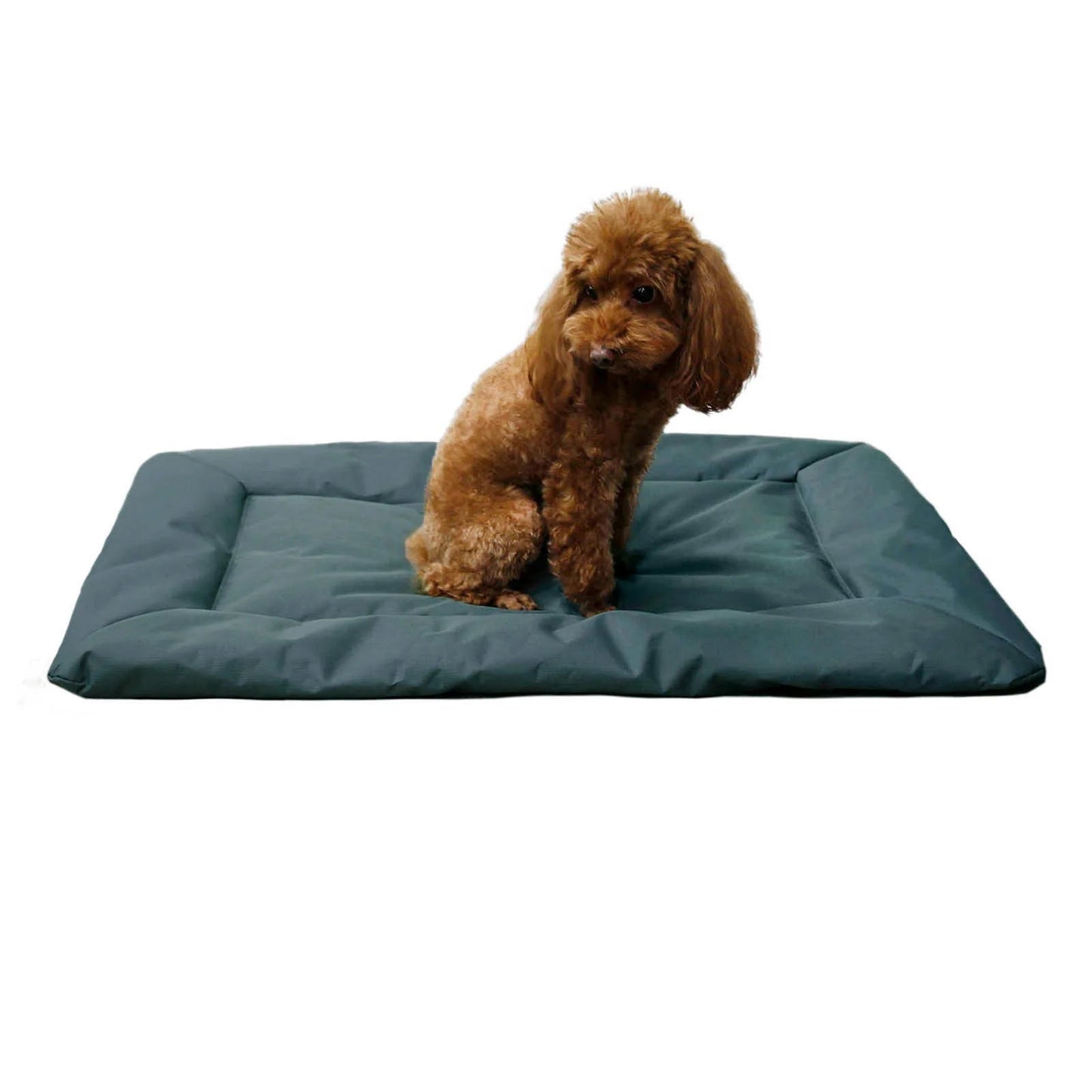 Waterproof Pet Travel Mat