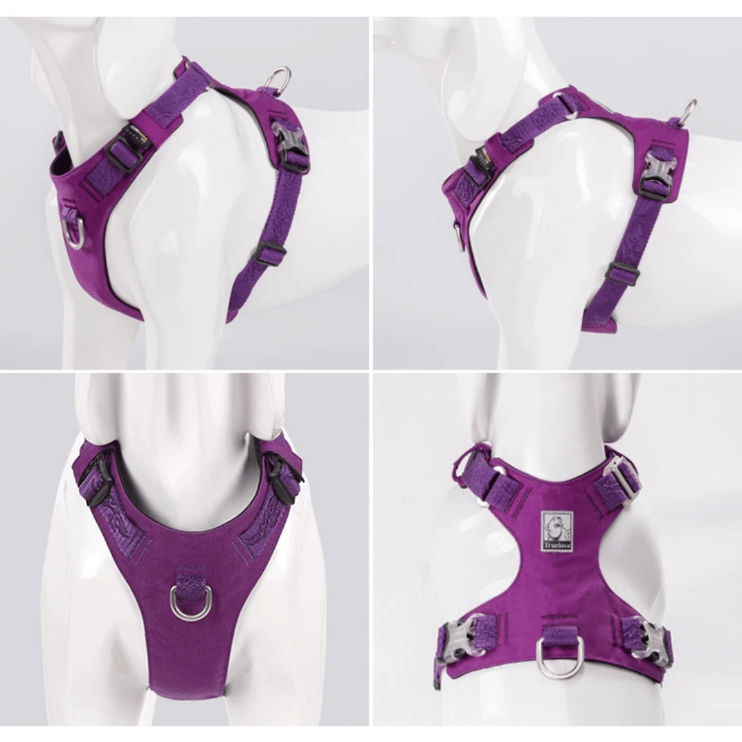 Water Resistant Dog Harness Vest