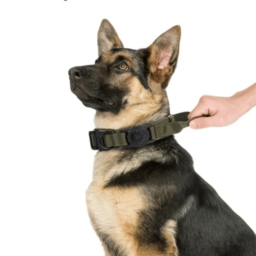 Tactical Dog Collar AirTag Holder Durable Nylon
