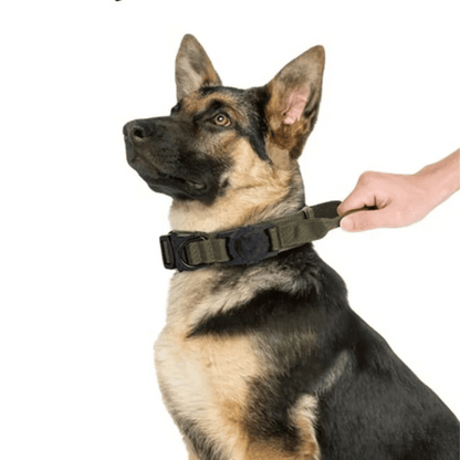 Tactical Dog Collar AirTag Holder Durable Nylon