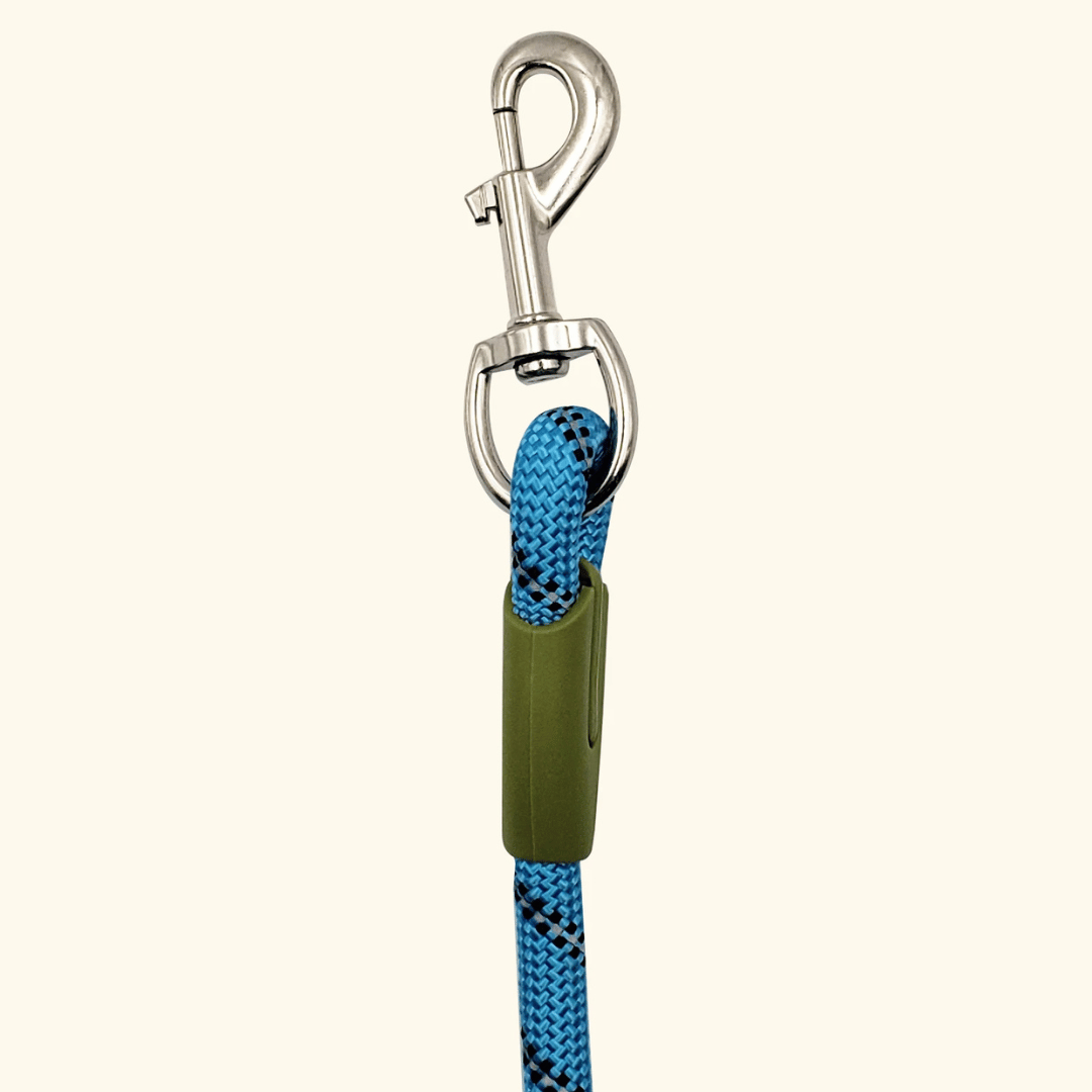 Durable Padded Dog Leash For Large Breeds