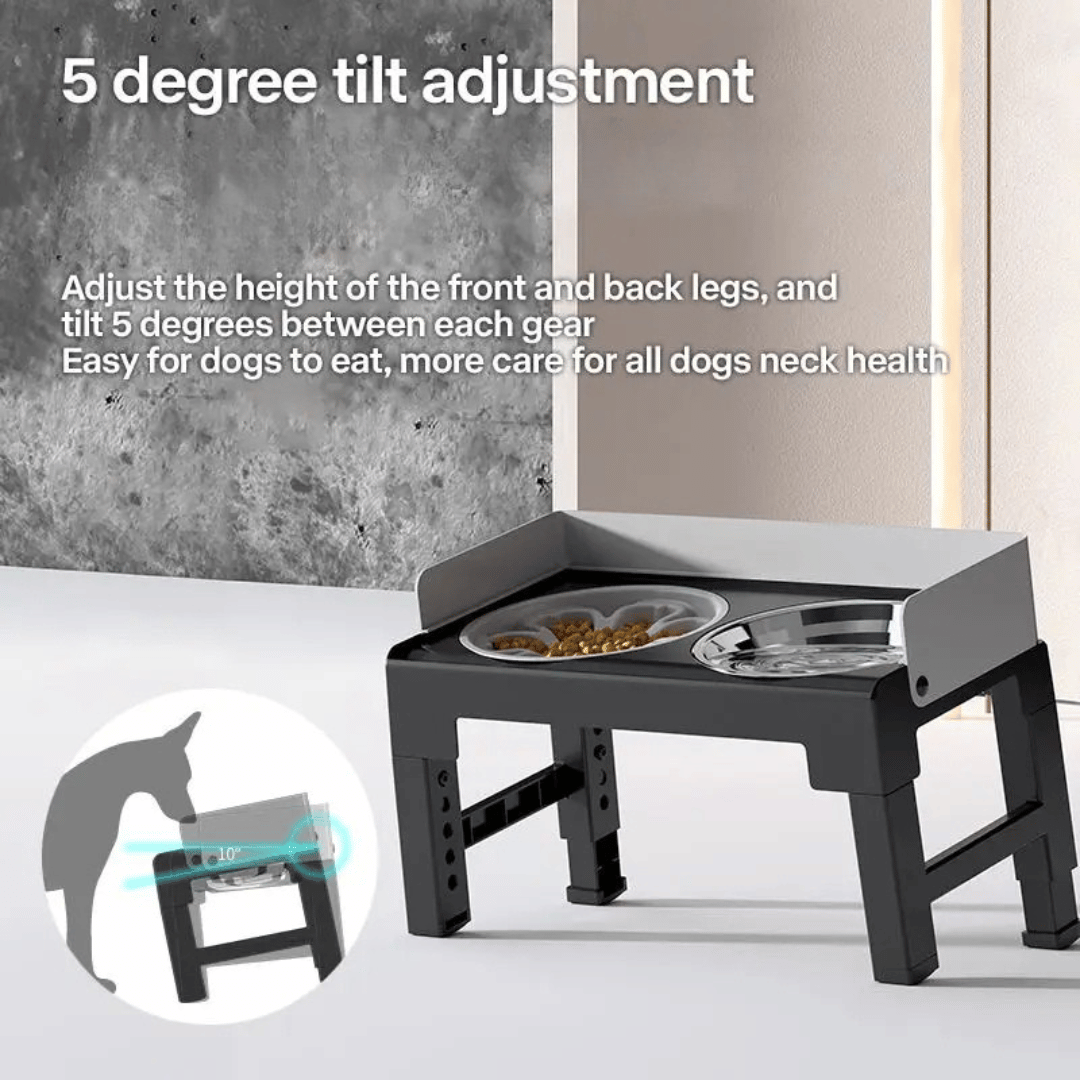 Stainless Steel Elevated Pet Feeder Slow Feed Bowl