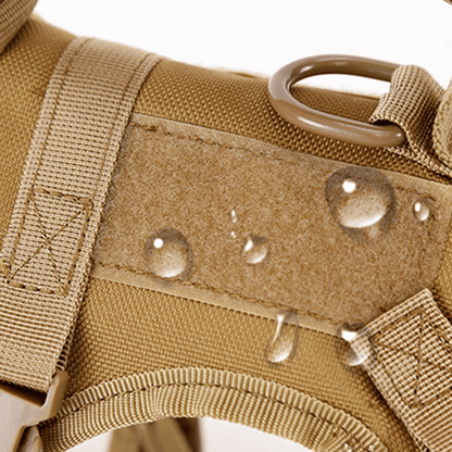 Durable Cat Vest And Leash Set