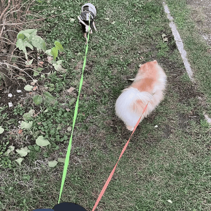 Adjustable Pet Leash Tangle with Light Clip