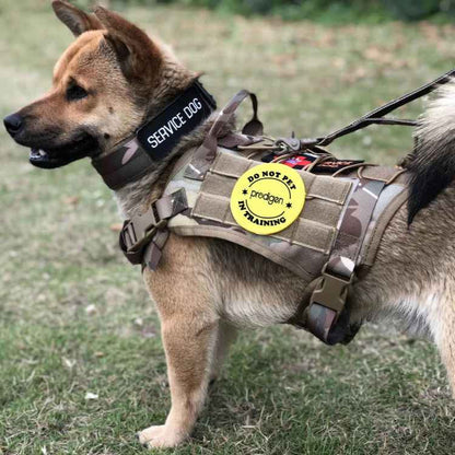 Tough Dog Training Vest Set with Leash and Pouch