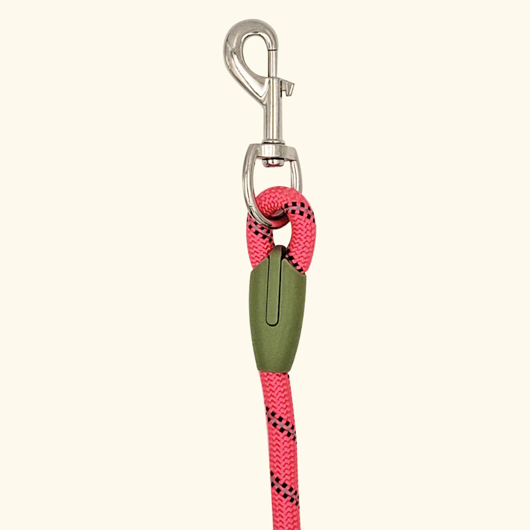 Durable Padded Dog Leash For Large Breeds